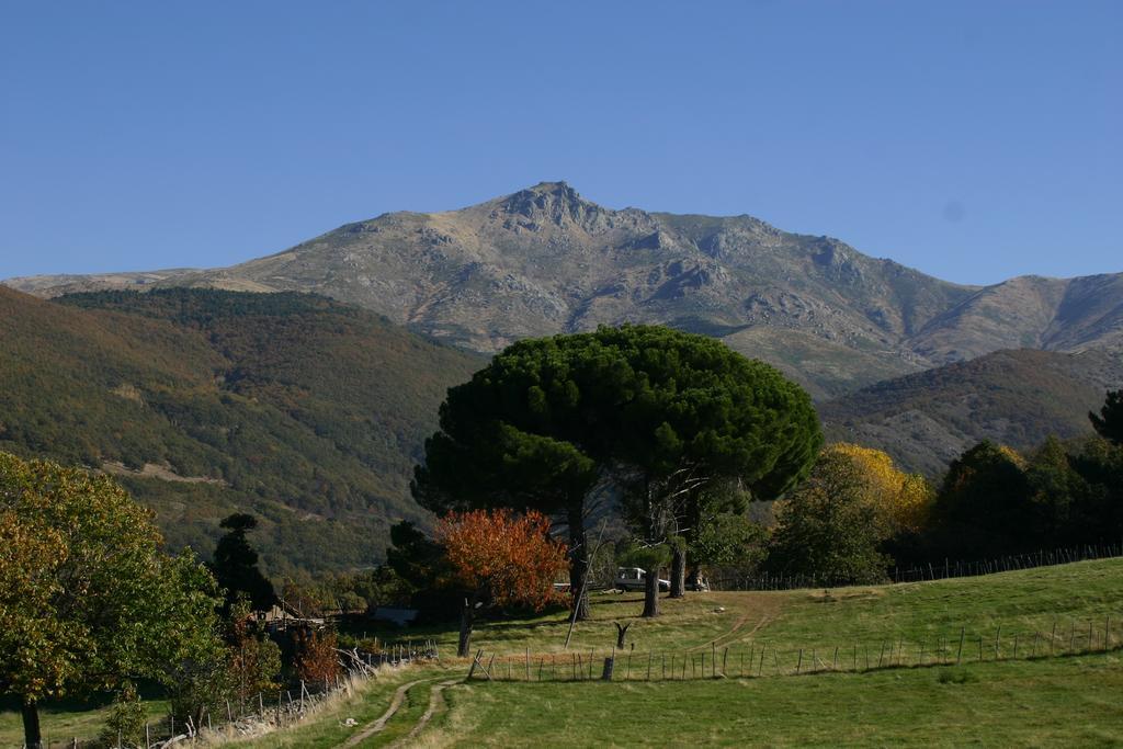 El Canchal De La Gallina - Parking Gratis - Jacuzzi En Privado - Cafeteria - Desayunos - Piscina De Agua Caliente A Partir Del 12 De Abril 2025 Hervás Εξωτερικό φωτογραφία